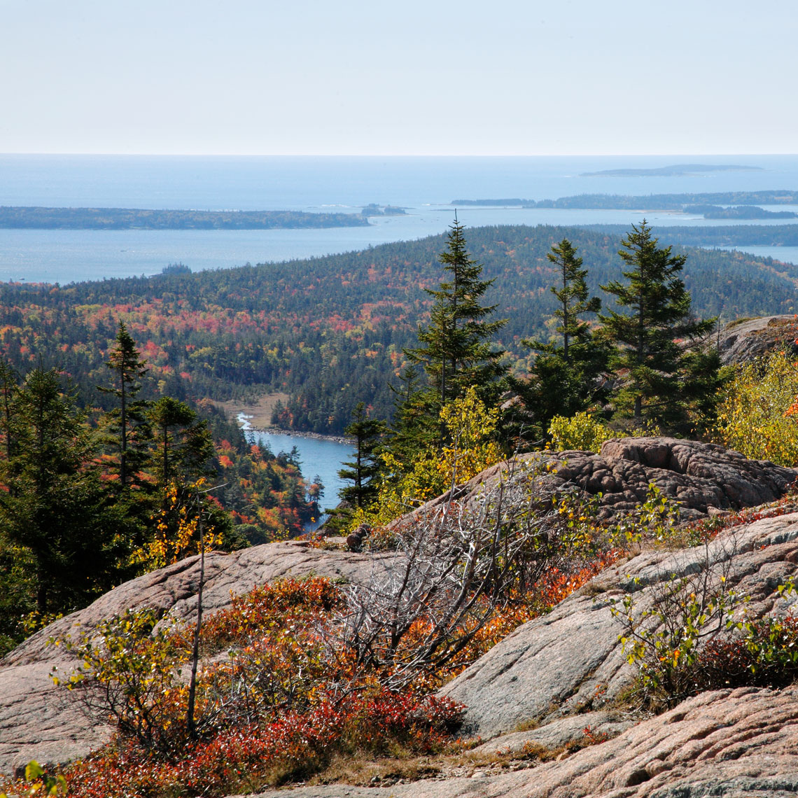 acadia national park views in the autumn